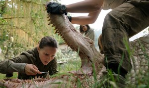 Annihilation (2018) reviewed by Jonathan Berk  for Berkreviews.com
