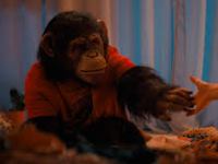 PRIMATE — Practical Effects Can’t Save a Script This Bananas